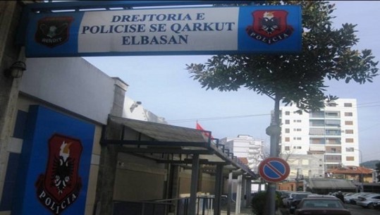 Vjedhje e veglave të punës në ambientet e firmës dhe dhunë në familje, dy të arrestuar në Elbasan