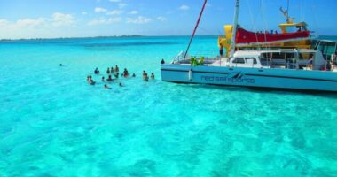 Oqeanet kanë filluar të bëhen të gjelbër, shkencëtarët gjithnjë e më shumë të shqetësuar