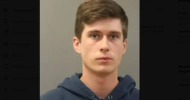 “I hidhte, ose i fuste në mikrovalë”, për një muaj mbyti 6 kotele, kapet 22 vjeçari amerikan