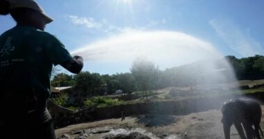 Rritja e temperaturave dhe rikthimi i fenomenit El Nino