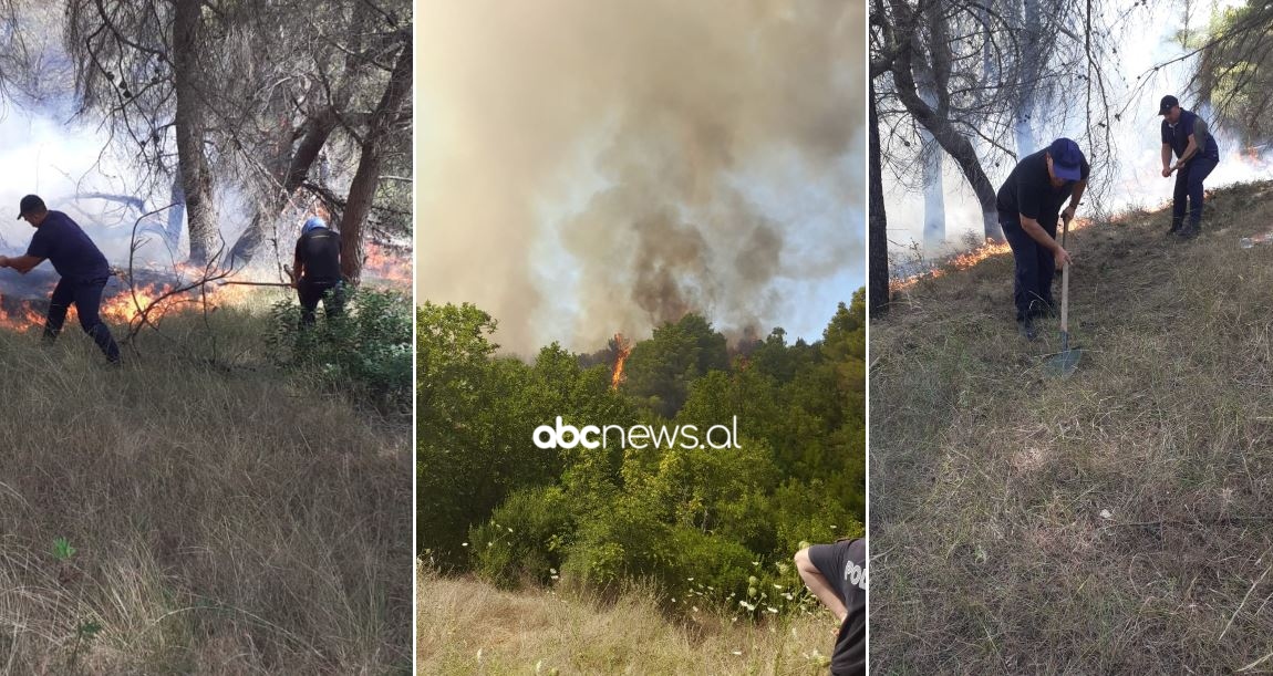 FOTO & VIDEO/ Zjarr masiv në pyllin me pisha në Fier, flakët favorizohen nga era dhe temperaturat e larta