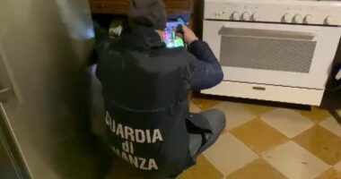 Pjesë e rrjetit kalabrez në varësi të “Ndrangheta”-s, kapet shqiptari në Itali