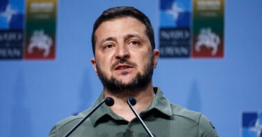 Zelensky: Moska dëshiron katastrofë ushqimore në të gjithë botën