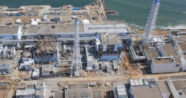 Po sikur të hidhet në erë centrali bërthamor Zaporizhia?