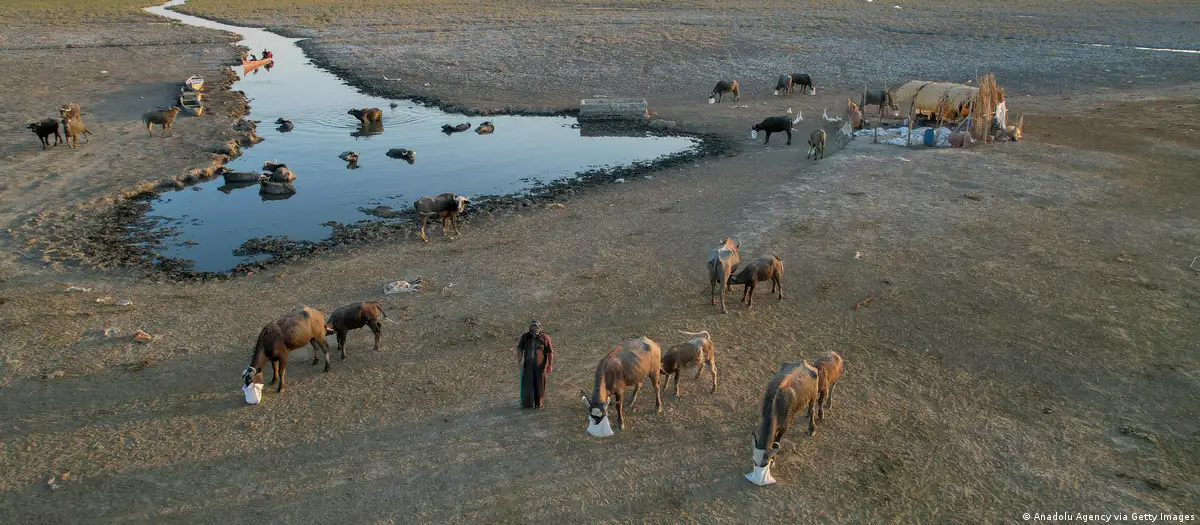 Temperaturat ekstreme mund ta bëjnë botën pjesërisht të pabanueshme