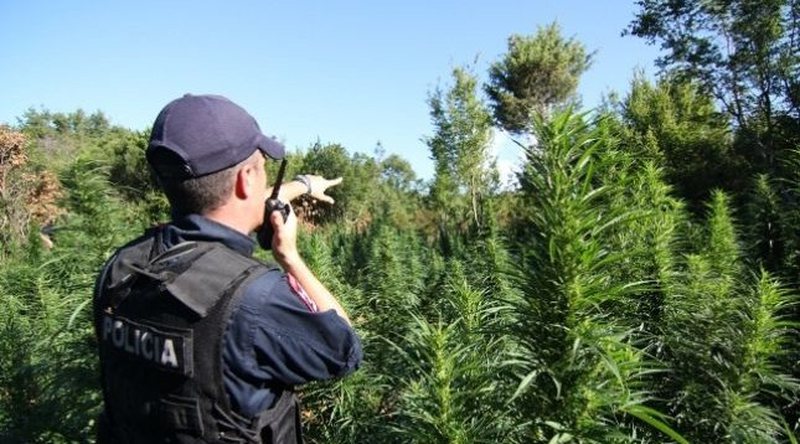 Shpërdoruan detyrën, e pësojnë dy ish-efektivë policie