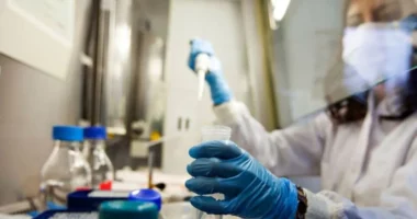 OKB: SIDA mund të zhduket deri në vitin 2030