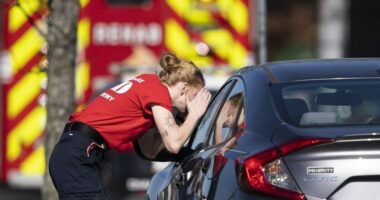 Mamaja e mbylli në makinë, 5 vjeçarja kërkon ndihmën e kalimtarëve për të dalë