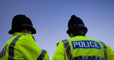 Rregullat e reja në Britani, policëve u ndalohet të shkojnë me prostituta