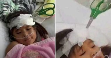 Zënka që për pak përfundoi në tragjedi, vëllai i ngul gërshërët në kokë motrës