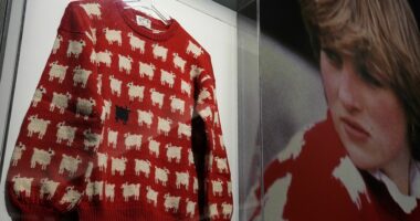 FOTO/ Triko e kuqe me dele e Princeshës Diana del në shitje së shpejti, mesazhi është domethënës