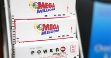 Numrat i dolën në ëndërr, e moshuara fiton lotarinë për herë të tretë