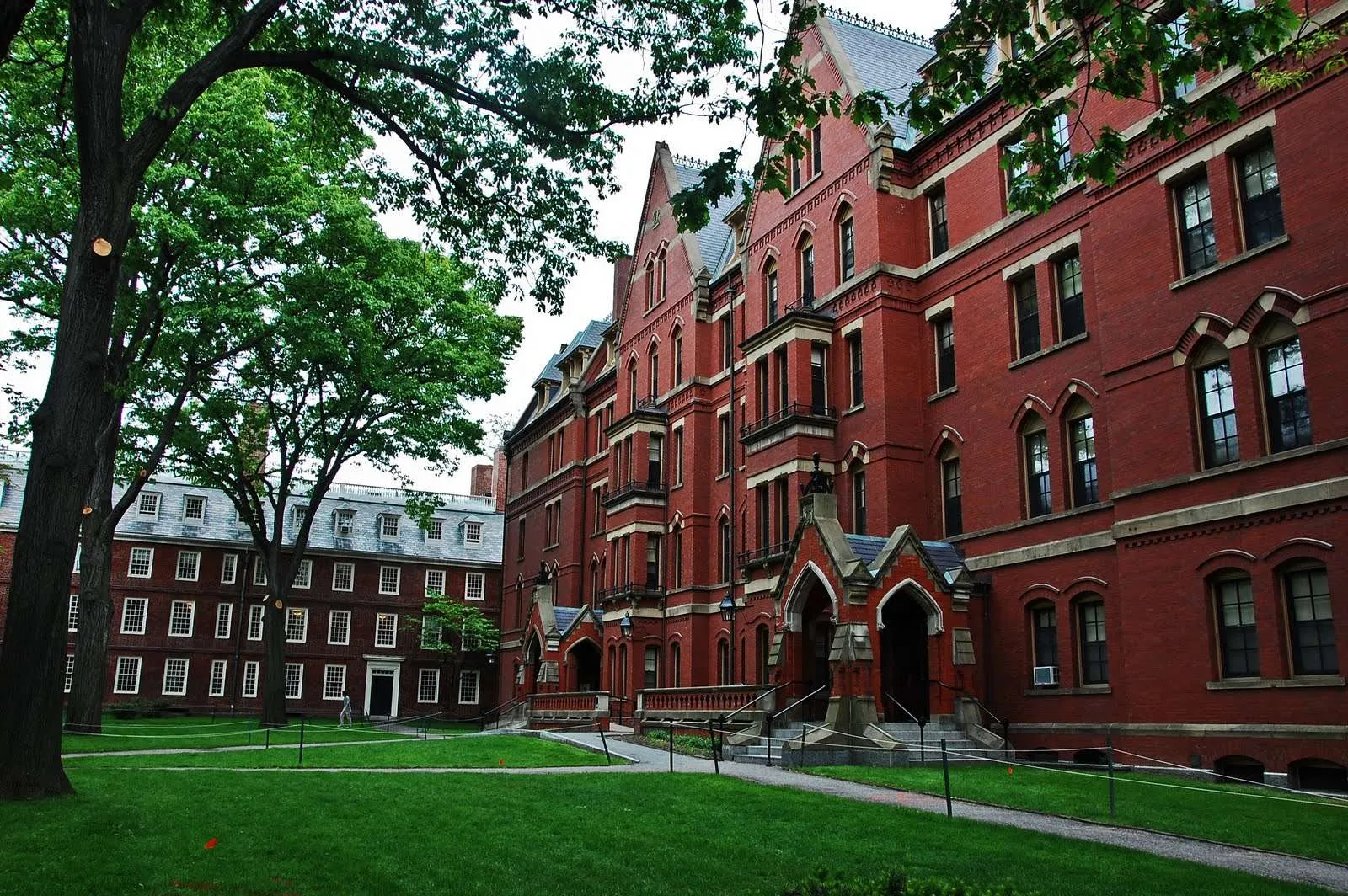 Harvard nën hetim për pranimet preferenciale në Universitet