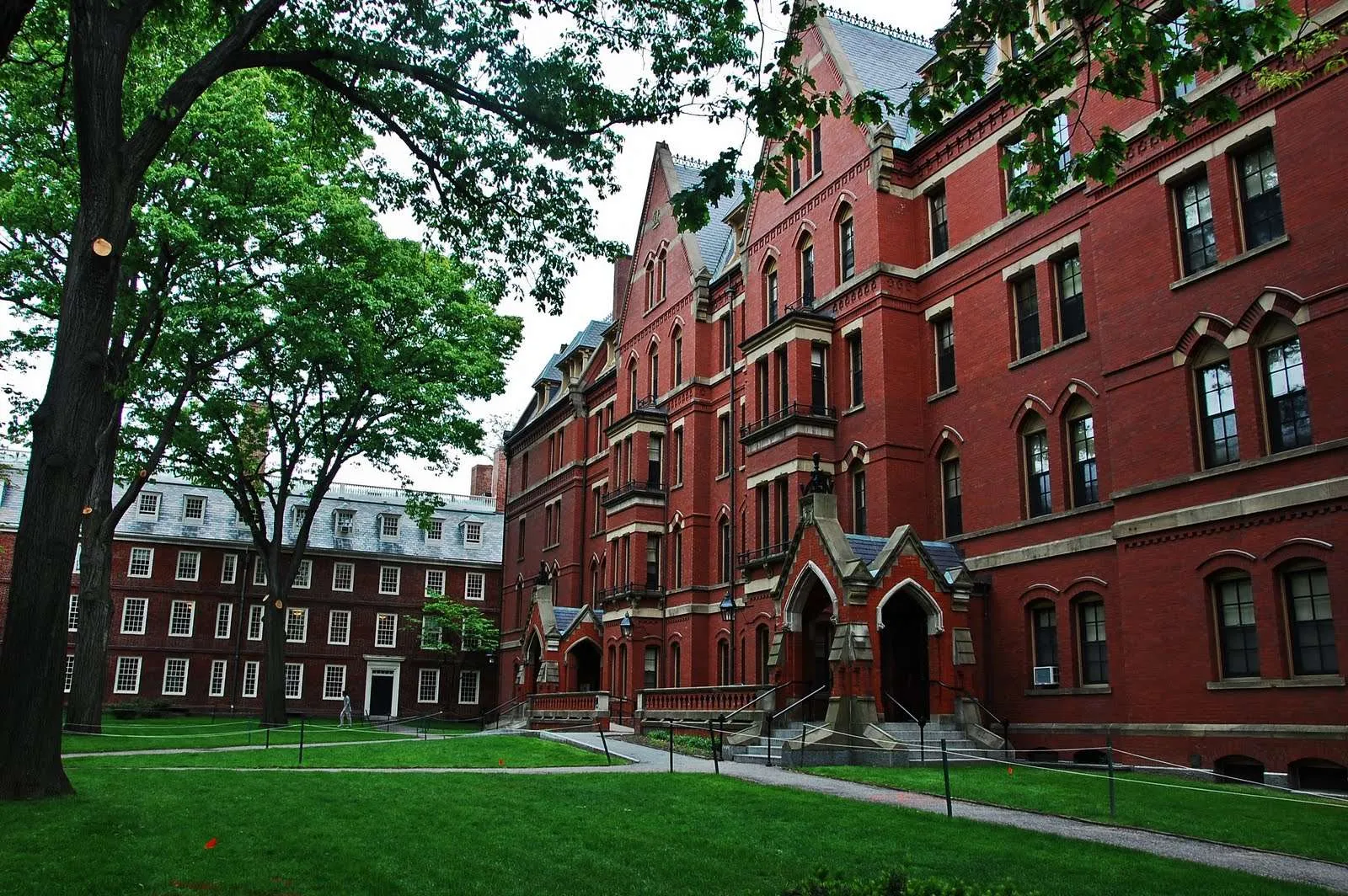 Trump pezullon hyrjen e studentëve të huaj në Harvard për gjashtë muaj