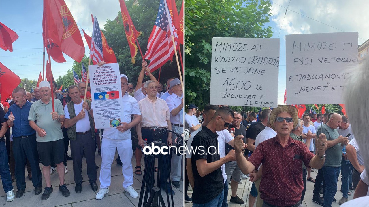 FOTO/ Mbyllet pa asnjë incident protesta e veteranëve: Pankartat epike të qytetarëve