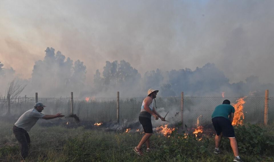 Të paktën 25 persona humbën jetën nga zjarret në Algjeri