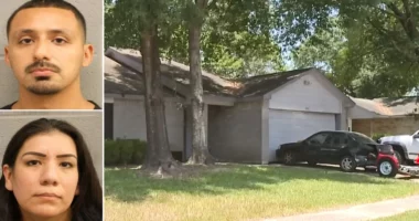 Çifti amerikan rrëmben 18 vjeçaren, e lidhën me zinxhir dhe e përdhunuan për javë të tëra