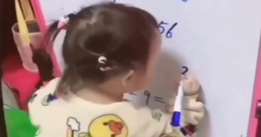 VIDEO/ Vajza 2-vjeçare bëhet virale në rrjet, shton dhe zbret me lehtësi numra treshifrorë
