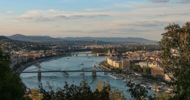 Nj&euml; librari n&euml; Hungari gjobitet r&euml;nd&euml; p&euml;r shitjen e romaneve LGBT