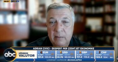 A po “ngjallet” valuta e huaj? Eksperti: Janë luhatje të vogla, ekonomia “vuan” nga dy probleme kryesore