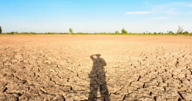 Temperatura rekord, Koperniku: Qershori i këtij viti ishte më i ngrohti i regjistruar ndonjëherë në planet
