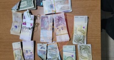 Arrestohet kambisti pa licencë në Shkodër, policia i sekuestron paratë