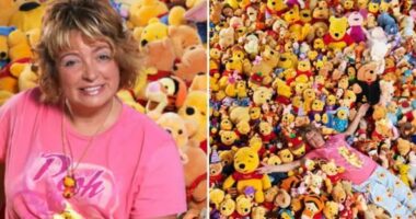 Gruaja grumbullon një koleksion prej 23,632 artikujsh të Winnie the Pooh