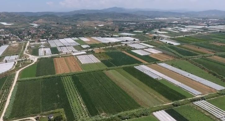 VIDEO/ Rama uron një javë të mbarë me pamjet e mrekullueshme nga tokat e punuara në Frakull të Fierit