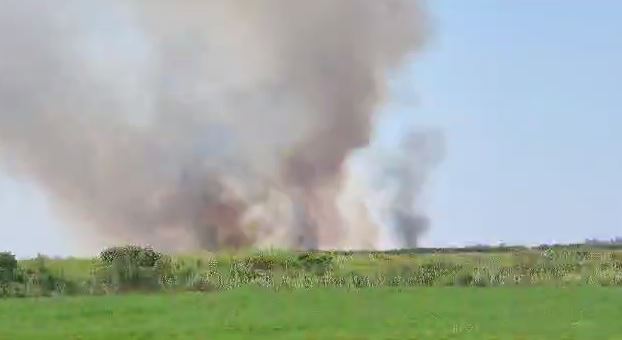 VIDEO/ Përshihet nga flakët një sipërfaqe me 16 hektarë grurë në Fier, nuk dihet shkaku