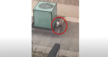 “Shtron” drekë në mes të përleshjeve, veprimi i të riut bëhet viral