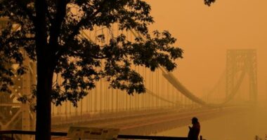 Ndryshimet klimatike ndikim të drejtpërdrejtë në zjarre, shkencëtarët: Ky është “normaliteti i ri”