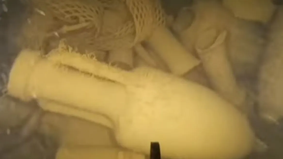 VIDEO/ Zbulohet anija 2000 vjeçare e mbytur në brigjet e Italisë