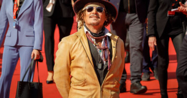 Pse Johnny Depp anuloi koncertin në minutën e fundit