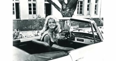 Brigitte Bardot përballet me probleme të rënda të shëndetësore, shpëtohet nga zjarrfikësit