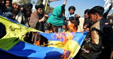 Djegia e kuranit, talebanët ndalojnë organizatat suedeze në Afganistan