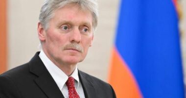 Peskov: Rusia, e gatshme të dërgojë grurë falas në vendet e varfra