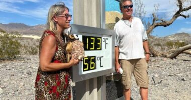 Temperatura shënon 56 gradë celcius në Luginën e Vdekjes, turistët mblidhen për të bërë foto