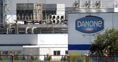 Putini u jep miqve timonin e kompanive perëndimore