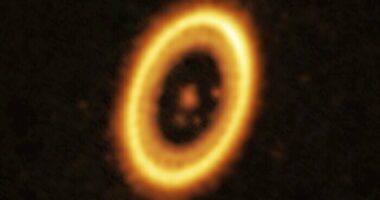 Shkencëtarët zbulojnë fenomenin e rrallë, dy planetë “shfaqen” në të njëjtën orbitë