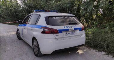 Qëlloi për vdekje gruan me pushkë, 88 vjeçari grek: E vrava se nuk kam kaluar mirë me të