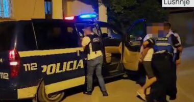 Skenë filmi/ Tentuan të grabisin shtëpinë në Lushnjë, 3 në pranga. Si u dështoi plani tre të rinjve