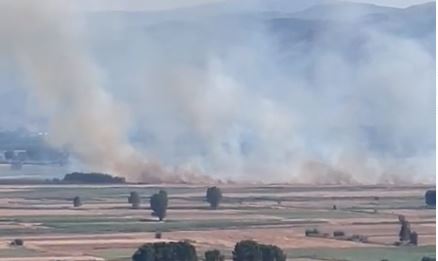 Video/ Riaktivizohen vatrat e zjarrit në fushën e Maliqit, hektarë me grurë në flakë