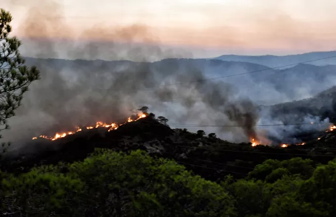 Greqia në flakë, rrezik shumë i lartë zjarri për gjashtë qarqe