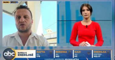 Mbështetja për “Start up”/ Eksperti: Duhet të ketë transparencë dhe raporte në çdo gjashtë muaj