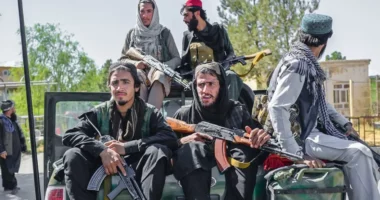 Talibanët preferojnë Twitter-in: Musk, garantues i lirisë së shprehjes