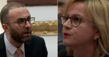 Kërkesa e SPAK për arrestimin e Ahmetaj, Ferhati: Të zbatojmë procedurat. Bardhi: Të pezullohet seanca