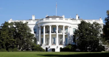 Jo vetëm kokainë, shërbimet sekrete gjetën edhe marijuanë në vitin 2022