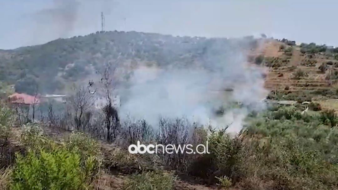 VIDEO/ Zjarr në një fshat të Fierit, kalon rreziku për banesat, vijon puna për shuarjen e plotë të tij