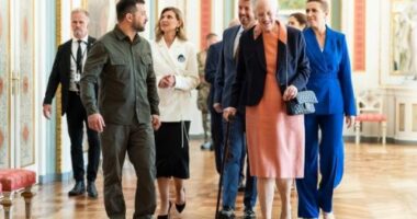Zelensky në Danimarkë, takohet me familjen mbretërore