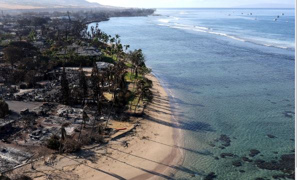 Zjarret në Hawaii/ Të mbijetuarit rrëfejnë tmerrin: Dukej si ferr!